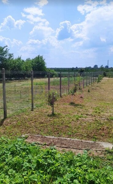 Casa Prahova Comuna Buchilas | 2.800 MP TEREN | Zona Verde | Padure