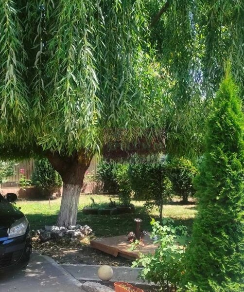 Casa Prahova Comuna Buchilas | 2.800 MP TEREN | Zona Verde | Padure